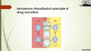 General Pharmacology  Routes of Drug Administration [upl. by Edaw]