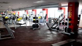 Golds Gym Adyar [upl. by Mcarthur886]