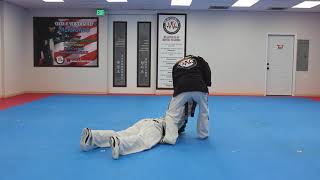 Hapkido Blue Belt One Step Sparring 6 [upl. by Ayital610]