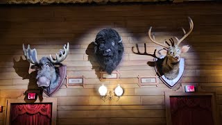 A New Era of Country Bear Jamboree [upl. by Oek]