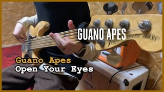 Guano Apes  Open Your Eyes Bass cover [upl. by Poul699]