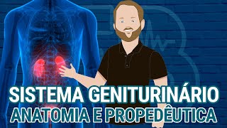 Sistema Geniturinário  Anatomia e propedêutica [upl. by Syst446]