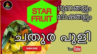 ചതുര പുളി  STAR FRUIT [upl. by Eenolem]