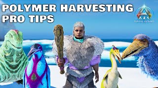 How to get the MOST POLYMER  Island  Ark Survival Ascended [upl. by Luhem139]