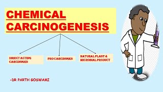 Chemical Carcinogenesis [upl. by Waldack762]