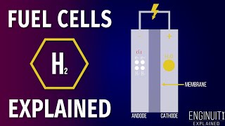 Hydrogen Fuel Cell How It Works [upl. by Anselmo]