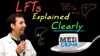 Liver Function Tests LFTs Explained Clearly by MedCramcom [upl. by Ynnatirb825]