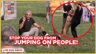 How To Stop Your Dog from Jumping on People  Dog Nation [upl. by Amargo]