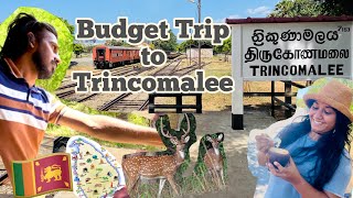 Budget Trip to Trincomalee Sri Lanka  by Train  ත්‍රිකුනාමලයේ දවසක් ceylon [upl. by Kline]