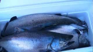 Fishing Vancouver Island BC Canada [upl. by Burgener]