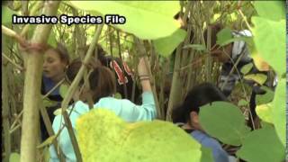 Invasive species under attack at Upper Great Lakes Invasive Species Conference [upl. by Thatcher]