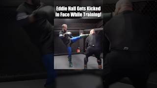 Eddie Hall Gets Kicked In Face While Training mma [upl. by Cassi989]