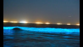 One minute of neon blue waves crashing on the Newport Beach shore [upl. by Dell340]