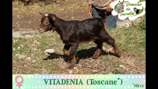 Diaporama de VITADENIA Toscane  2024 [upl. by Heather]