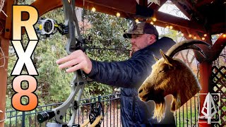 Hoyt RX8 Review what 80lb limbs feel like [upl. by Eat]