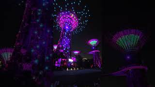 Supertree Grove light show [upl. by Ailev]