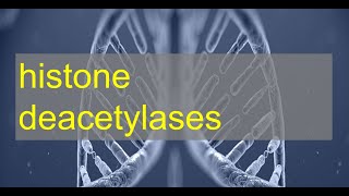 Histone Deacetylase HDAC Activity Assay [upl. by Holden404]