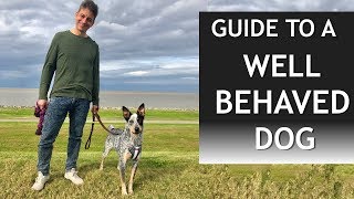 Your Guide to a Well Behaved Dog [upl. by Constantino814]