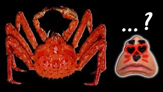 4K 帝王蟹 킹크랩 King Crab Imitation Crab mukbang ASMR EATING SHOW [upl. by Tamah]