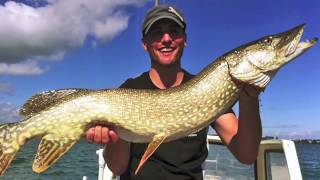 5 Fischen  Angeln  Schleppen auf Hecht im Bodensee [upl. by Peadar]