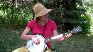 Amazing banjo solo [upl. by Osrick]