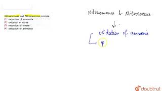 Nitrosomonas and Nitrosococcus promote [upl. by Amsirahc]