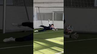 Did I perform at the Skillerz Final😳🤯🤷🏽 gk football viralvideo soccer bobbee fussball [upl. by Aiseneg350]