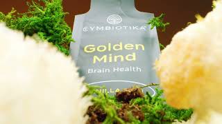 Increase Cognitive Function with Golden Mind  Cymbiotika [upl. by Nadruoj]