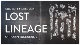 Lost Lineage Orrorin tugenensis Feat Lindsay Nikole [upl. by Inaja]