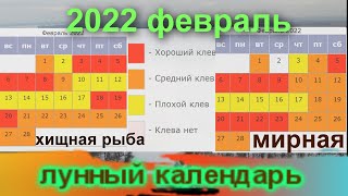 Лунный календарь рыболова на февраль 2022  Предсказатель клева [upl. by Rosemarie499]