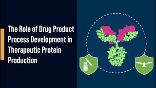 The Role of Drug Product Process Development in Therapeutic Protein Production [upl. by Beedon567]