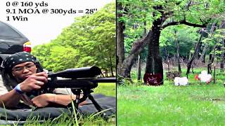 17 HMR  300 Yards [upl. by As492]