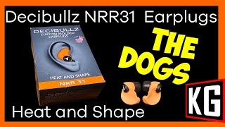 Decibullz Custom Earbuds whats in the box and fitting [upl. by Imtiaz464]