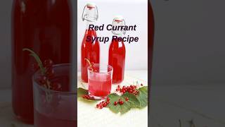 How to make Red Currant Syrup shorts [upl. by Tremaine]