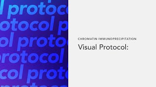 Chromatin Immunoprecipitation Visual Protocol [upl. by Buyse228]