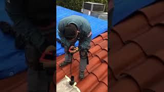 Inspecting for Rodents in Roof Vents  VersaTech® Rodent Exclusion  LA County [upl. by Geilich]