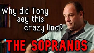 Exploring Tonys Weirdest Line in The Sopranos [upl. by Aitahs]