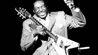 Albert King  The Hunter [upl. by Adliwa]