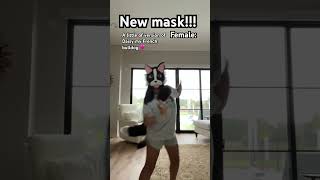 She’s so cute ☺️ newmask frenchbulldog cute furry therian christian doglover antizoo [upl. by Jara485]