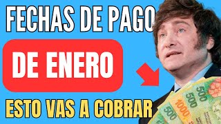 🍀 Cuando y Cuanto COBRO ANSES ENERO 📣 Jubilados Pensionados AUH PNC SUAF ✚ Fechas de Pago [upl. by Oicaro827]