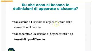 ORGANIZZAZIONE CORPO UMANO [upl. by Anelyak]