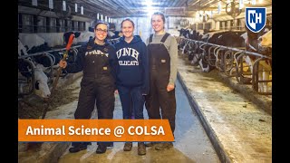 Interested in an Animal Science degree from UNH COLSA [upl. by Aicsila724]