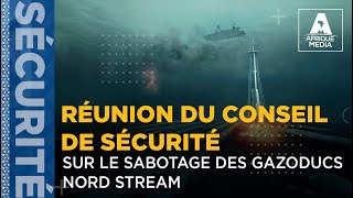 RÉUNION DU CONSEIL DE SÉCURITÉ SUR LE SABOTAGE DES GAZODUCS NORD STREAM [upl. by Adorne968]