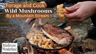 Forage and Cook Wild Mushrooms by Mountain Stream [upl. by Hemminger]