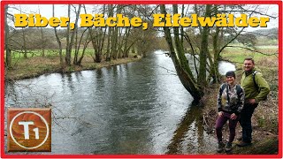 Biber Bäche Eifelwälder  Wandern in Nideggen 27K [upl. by Case600]