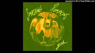 The Smashing Pumpkins  Rhinoceros Without drums [upl. by Eihtur988]