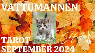 Vattumannen ♒️ September 2024 Tarot  Healer K [upl. by Francine]