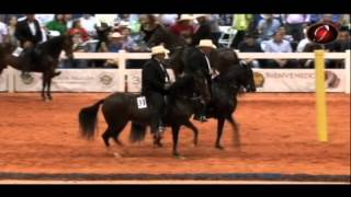 CASTIGADORA DE LA LIBERTAD VS GALANA DE TORMENTO [upl. by Sabra]