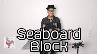 รีวิว Roli Seaboard Block by ตองพี [upl. by Anielram569]