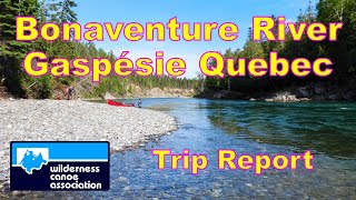 Bonaventure River Trip Report [upl. by Abshier]